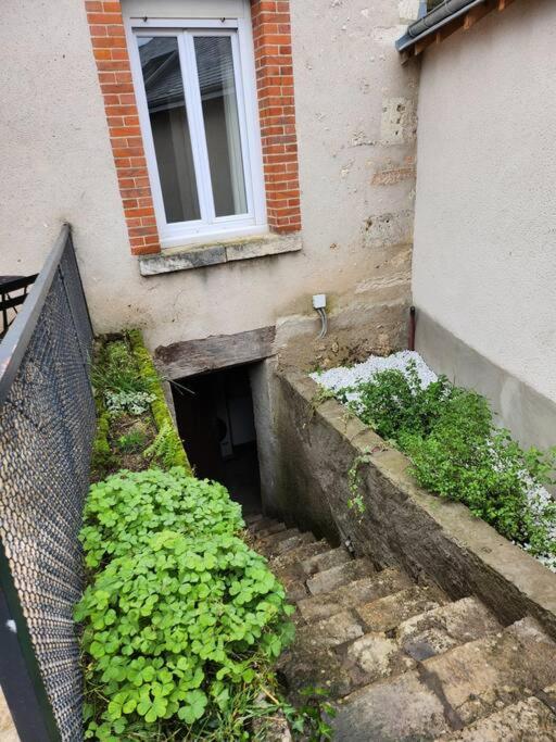 La Maisonnette Des Hautes Granges Блуа Экстерьер фото
