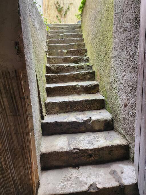 La Maisonnette Des Hautes Granges Блуа Экстерьер фото